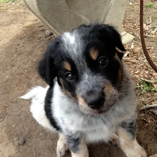 Waiting for mom to throw the ball