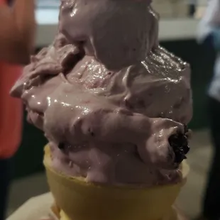 Marionberry custard