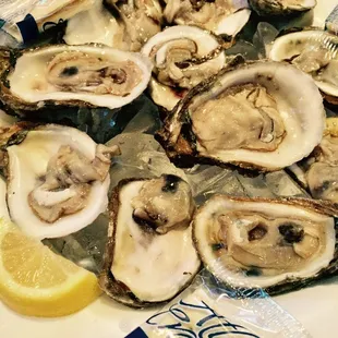 a plate of oysters