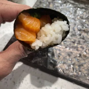 Salmon Roll