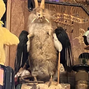 The next evolution in jackalope.