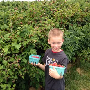 In the raspberry bushes.