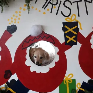 Family photo tradition.