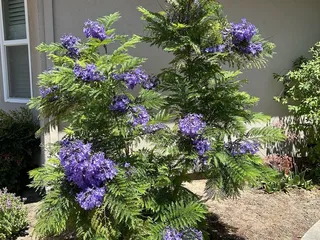 California Landscape Supply