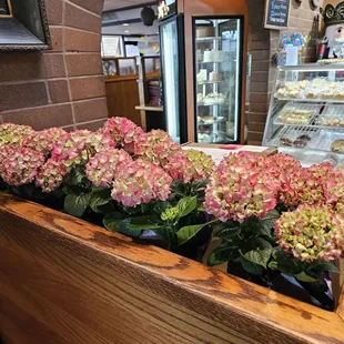 Fresh flowers
