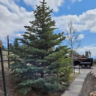 Planted 10 months ago