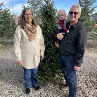 Beautiful Frazier fir