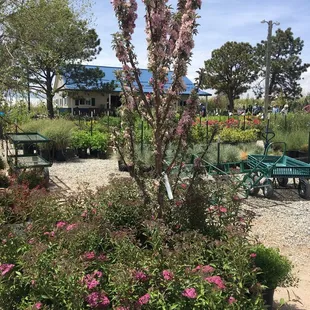 Great local nursery with ample selections.