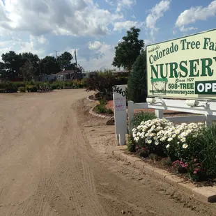 Parking lot - Photo courtesy of http://www.coloradotreefarmnursery.com