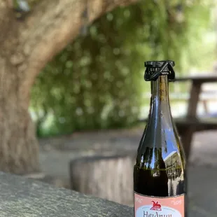 The delicious Hawaiian Blossom Mead