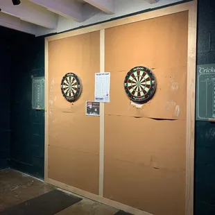 Darts area