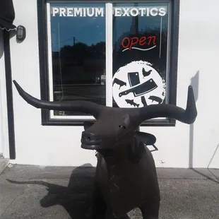 Yes, that IS a grill! :-O