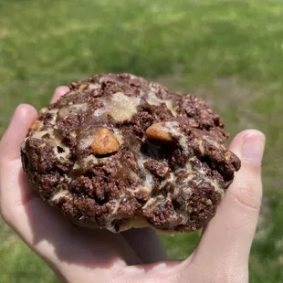 Chocolate peanut butter scone