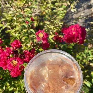  hand holding a cup of iced coffee