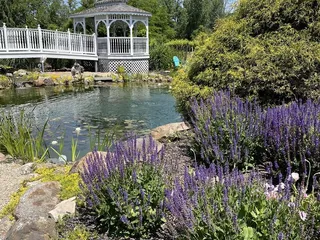 Chateau Winery and Vineyard