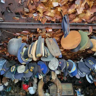 hats hanging from the ceiling