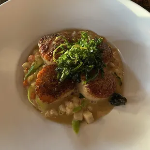 Scallop Risotto