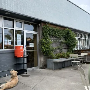 Dog friendly outdoor seating