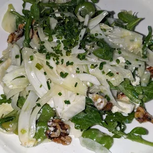 Fennel salad