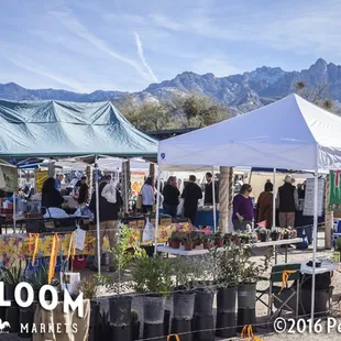 Fresh produce, baked goods, coffee, tea, jellies/jam, eggs and more! Every Saturday at Steam Pump Ranch.