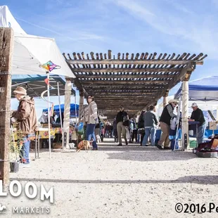 Fresh produce, baked goods, coffee, tea, jellies/jam, eggs and more! Every Saturday at Steam Pump Ranch. Plus, live music.