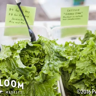 Sunset Growers. Always a great selection of greens and a favorite grower amongst the bunch who only sells at the Oro Valley Farmers Market.
