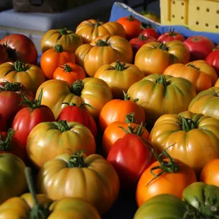 All things local, fresh and food related at the Friday Trail Dust Town Farmers Market!