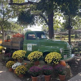 a green truck with pumpkins in the bed