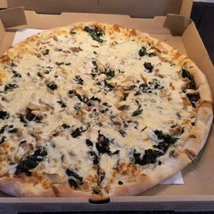 The large Chicken Alfredo.  Tasty!