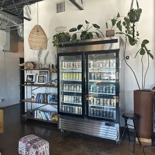 Beer cooler