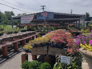 Louis' Flower Power Shop