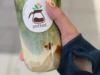 Potted