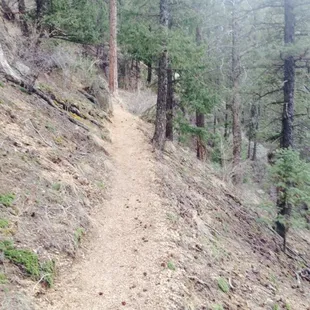 Trail