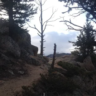 Trail