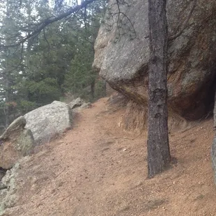 Trail