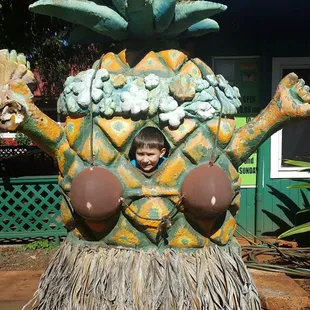 Helemano Plantation