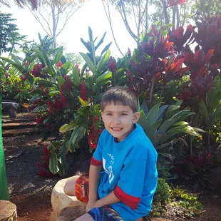 My opu is full from the ono buffet. Relaxing in the lush, tropical settings.