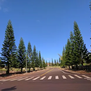 Looks like the mainland, but it's actually at Helemano Plantation in Wahiawa