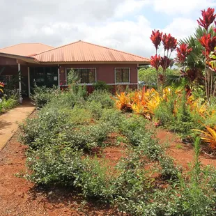Front Garden of Plantation