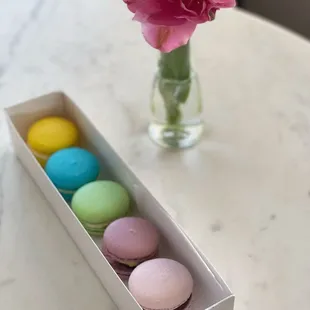 The best macarons in Indy