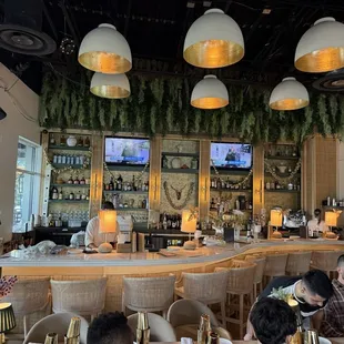 oysters and mussels, interior