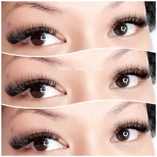 Bellalash by Helen : 4D volume lash extension, as soft as feathers, as light as air, as natural as human lashes