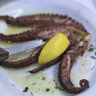 Grilled octopus