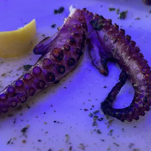 Broiled Octopus