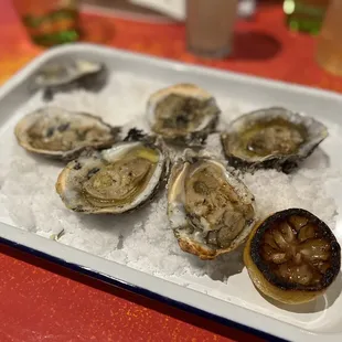FIRE CHARRED OYSTERS