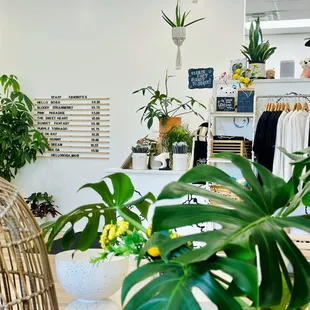 a plant shop with lots of plants