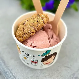 Vegan ice cream and cookie