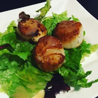 Scallop
