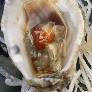 PA4. DF Oyster(2pcs)