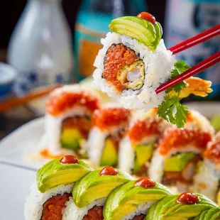Hello Sushi